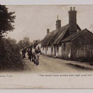 Carte postale ancienne de 1906 : chevaux rentrant dans un village, citation de Wordsworth, équipe de retour à la maison