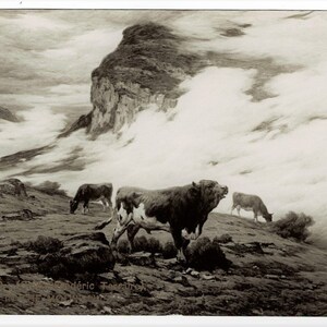 ANTICA CARTOLINA D'ARTISTA DEL 1911: Paesaggio montano bagnato dalla pioggia con bestiame di Clovis Frederic Terraire