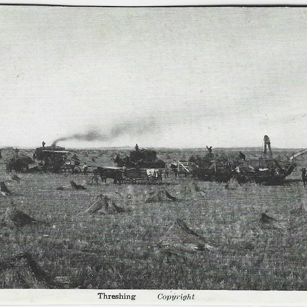 LANDELIJK LEVEN, DORSEN, stoommachines en paarden, vintage echte fotokaart, c1910s