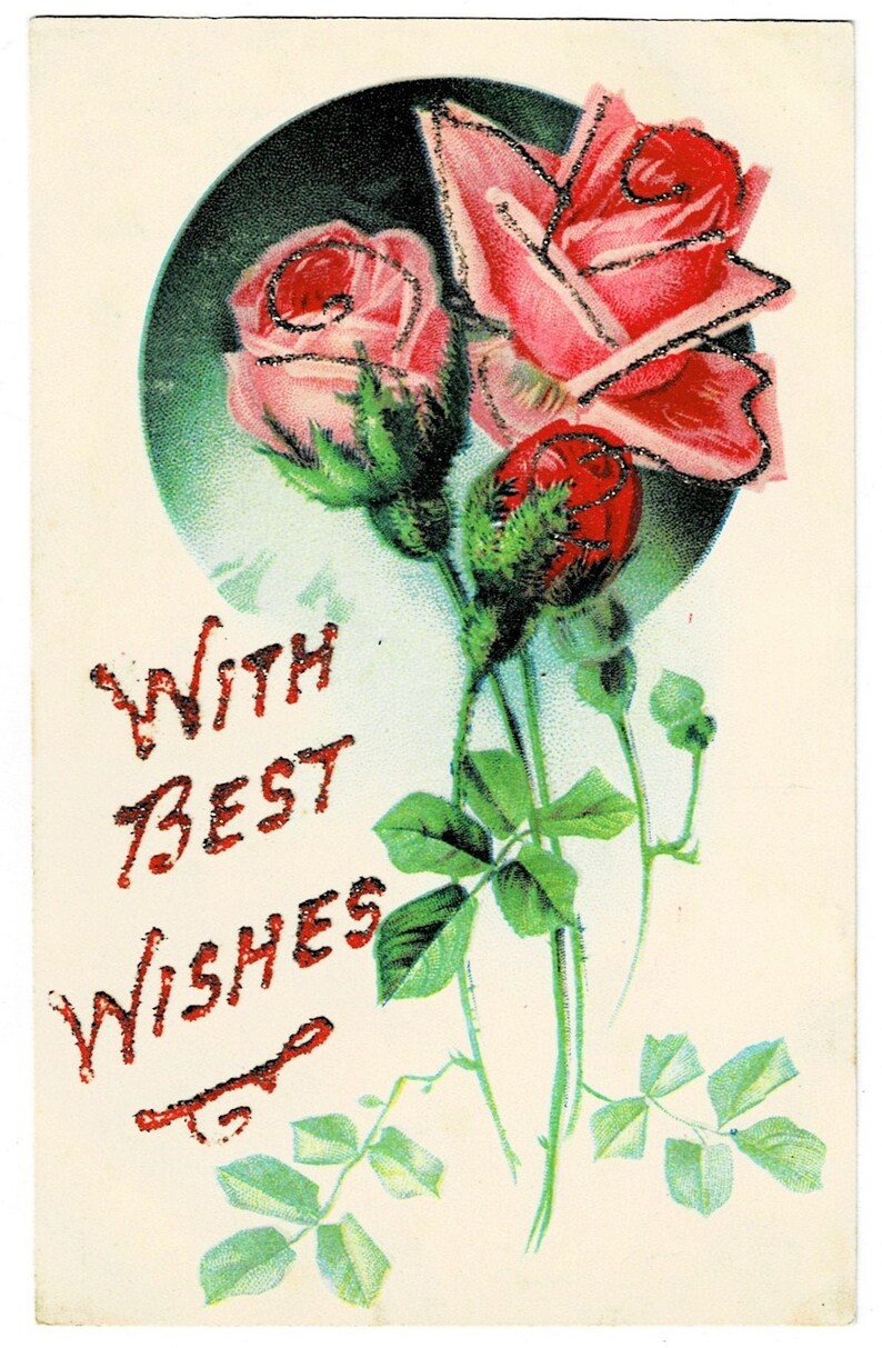 Beautiful PINK ROSES With Best Wishes Vintage Postcard Etsy