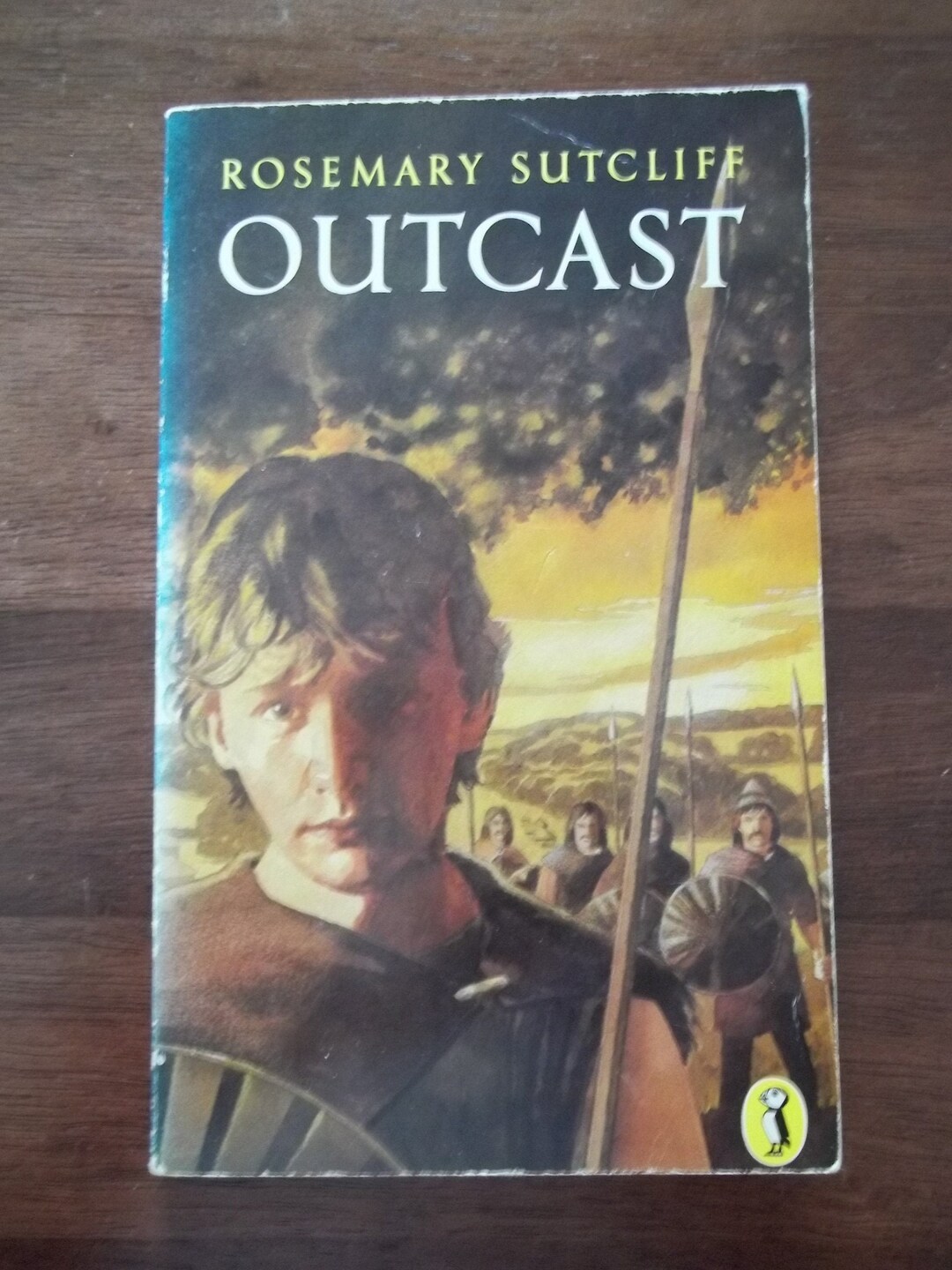 OUTCAST by Rosemary SUTCLIFF Vintage Puffin Books Published Etsy