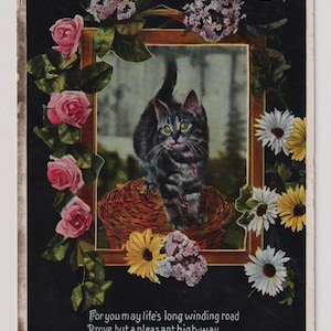 GATTO in cima a un CESTINO con rose e margherite, cartolina fotografica antica di compleanno, pubblicata nel 1911, H Vertigen