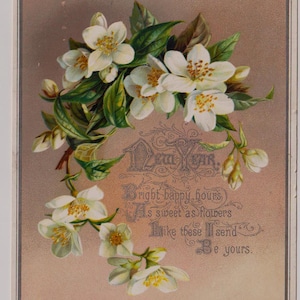 BLOSSOMS, Victoriaanse antieke nieuwjaarswenskaart/schroot/Ephemera, Tucks & Sons, 1883