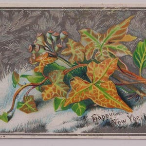Klimop, SNEEUW, Victoriaanse nieuwjaarswenskaart/Ephemera, ca. 1890, S.Hildesheimer, initialen kunstenaar: E.C.