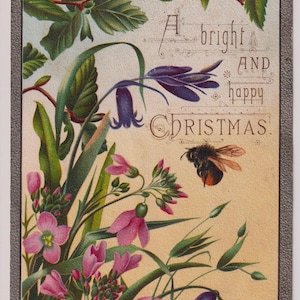 Viktorianische Künstler Weihnachtskarte/Ephemera/Scrap, BUMBLE BEE und BLUMEN, Raphael Tuck