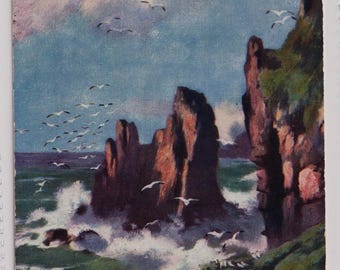 Wild Waves, Seagulls, Rocky Coast, Antique Artist Postcard, Elmer Keene, Tucks  7062, 1908