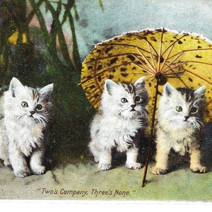 Dolci gattini, Due è compagnia, Tre è nessuno, cartolina fotografica antica, Landor Photo, serie Wrench, c. 1910