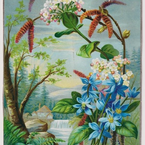 Carte d'artiste victorienne/éphémère, fleurs et fougères, rivière avec cottage, c1890