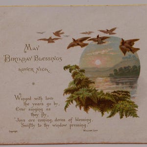 Vliegende VOGELS, meer, varens, zon, Victoriaanse verjaardagswensen/schroot/ephemera, ca. 1890