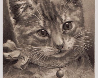 SWEET KITTEN, Bow and Bell, Antique Artist Postcard, Posted in 1912 from Germany