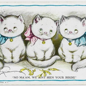 Cartolina d'artista antica, "No signora, non abbiamo visto il suo UCCELLO" di Grace Wiederseim, "Tre GATTI Angelici?!" Reinthal e Newman, c. 1920