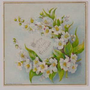 Mooie BLOESEMS, antieke kerstwenskaart/schroot/Ephemera, Tucks & Sons, jaren 1890