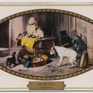 May include: A vintage postcard showing a humorous illustration of dogs in an office. A large white dog is on a desk, with other dogs around a cart and basket. The text "JACK IN OFFICE. LANDSEER." is at the bottom of the image.