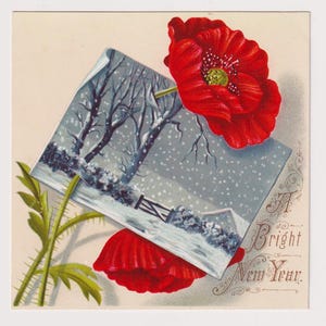 Rote POPPIES, Verschneite Winter's Eve, viktorianische Neujahrsgrüße Schrott / Karte, c1890