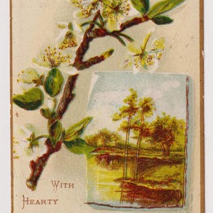 APPELBLOESEMS, landschap, Victoriaanse antieke kerstwenskaart/schroot/ephemera, jaren 1890