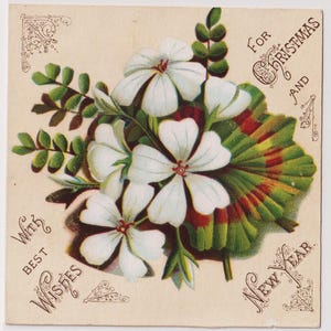 WHITE GERANIUMS, Victorian CHRISTMAS Greetings Card/Ephemera, c1890s