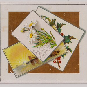 ZEILBOTTEN in the Sunset, MADELIEFJE, HOLLY, mooie Victoriaanse kerstgroeten, ephemera/schroot, jaren 1890
