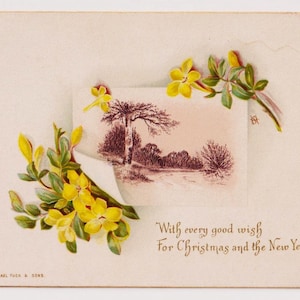 Bellissimi FIORI GIALLI, paesaggio, effimera/biglietto natalizio vittoriano antico artista britannico, Raphael Tuck and Sons, c1900