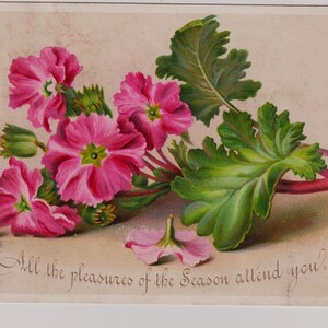 Biglietto d'auguri vittoriano antico/ritagli, effimeri, artigianato, artista, fiori rosa