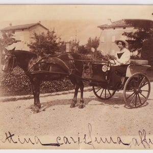 Antique Real Photo Postcard, Italian WOMAN with HORSE and CART, c1920