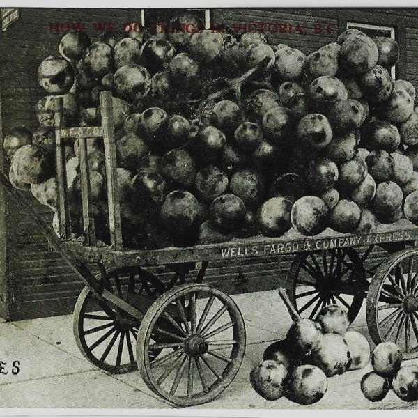 Giant GRAPES, How we do things in Victoria, B.C., WELLS FARGO wagon, Vintage Real Photo Postcard, A S Johnson, Posted in 1919