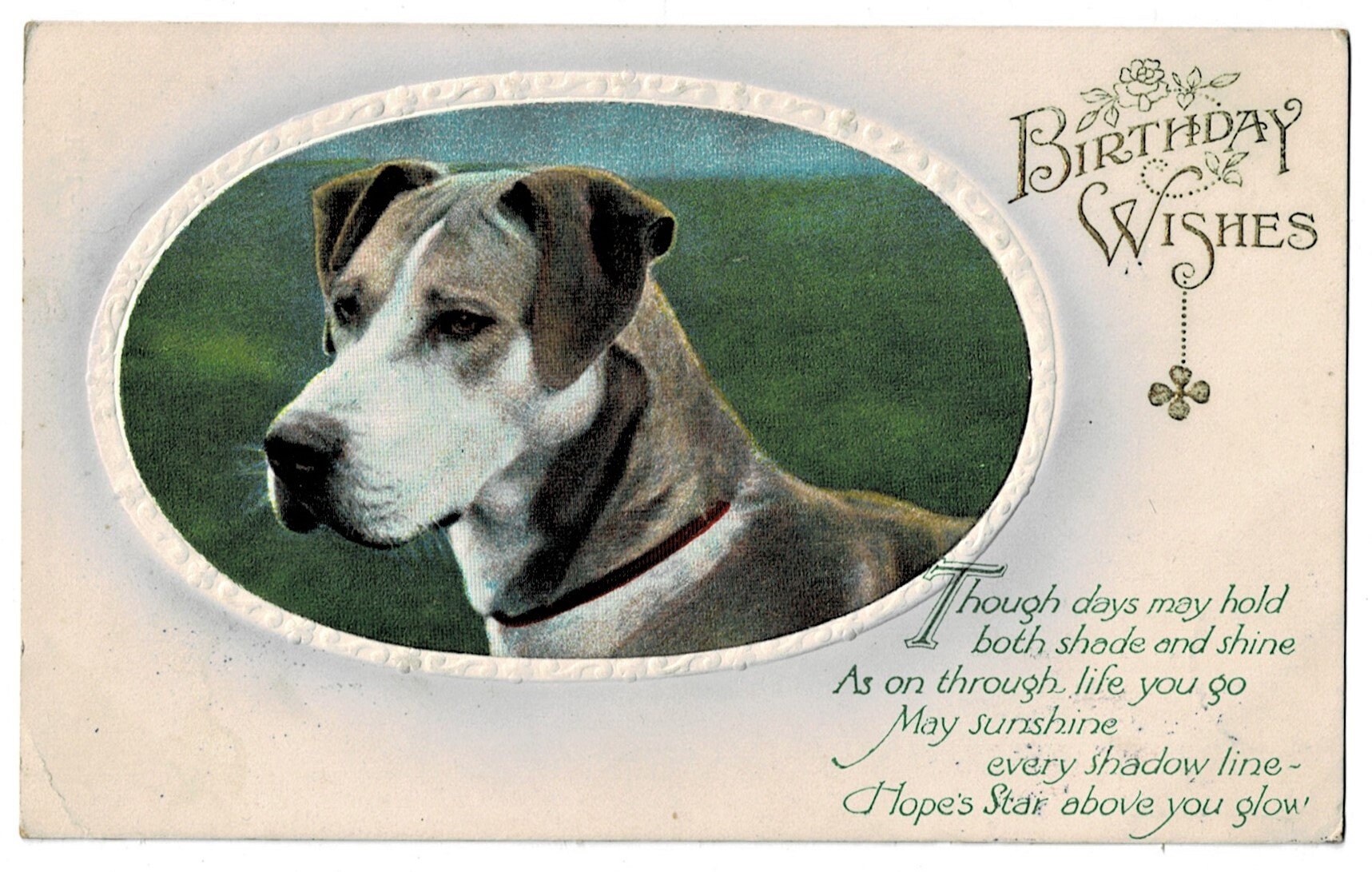 Schöne HOUND Hund Geburtstagswünsche Vintage Postkarte Etsy