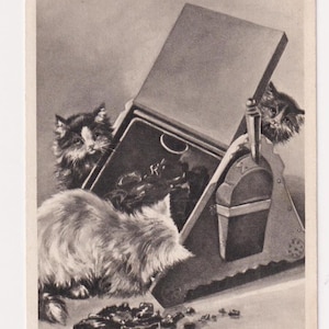 Cartolina d'artista antica, HERE'S FUN di Maude Scrivener, GATTI che giocano nella secchia del carbone, c. 1905, S Hildesheimer