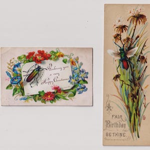 BLOEMEN, INSECTEN, KEVERS, groeten, lot van 2, Victoriaanse wenskaarten/Ephemera/schroot, ca. 1880-90
