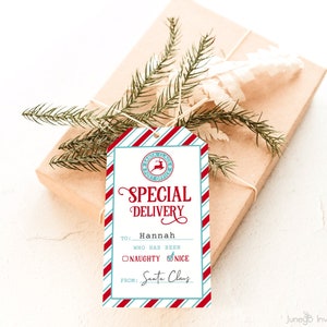 Santa Special Delivery Christmas Tags | North Pole Tag | Editable Santa Gift Tags | From Santa Tags | Personalized Santa Tags | Template