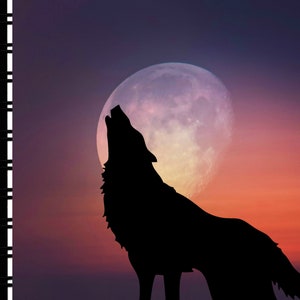 Carnet d’adresses avec les pages Web « Call of the Wild »