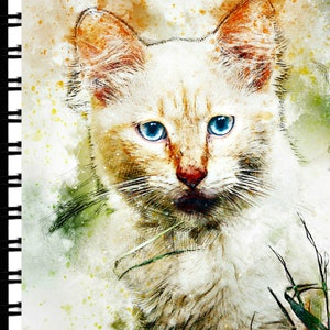 Address Book &quot;Pretty Kitty&quot;  with Web Pages