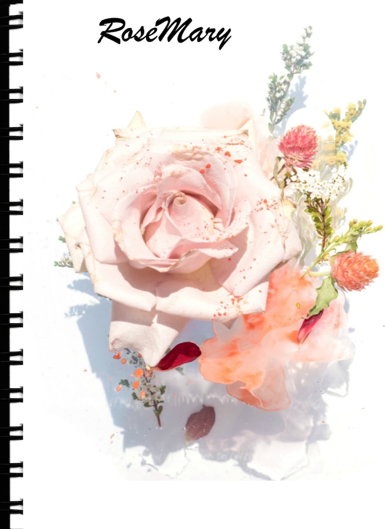 Passwordweb Address Book Soft Pink Rose - 