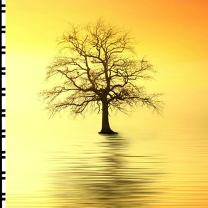 Carnet d&#39;adresses Lone Tree