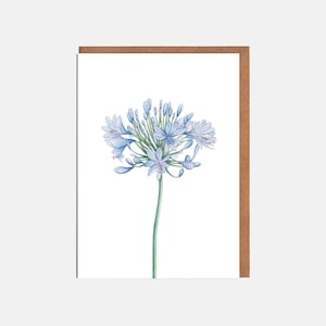 Cartão em branco Agapanthus - Cartão de aniversário floral - Cartão de nota - Cartão para ela