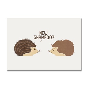 Haarhog Art Print