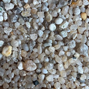 1 pound grab lot Oregon Coast Agates