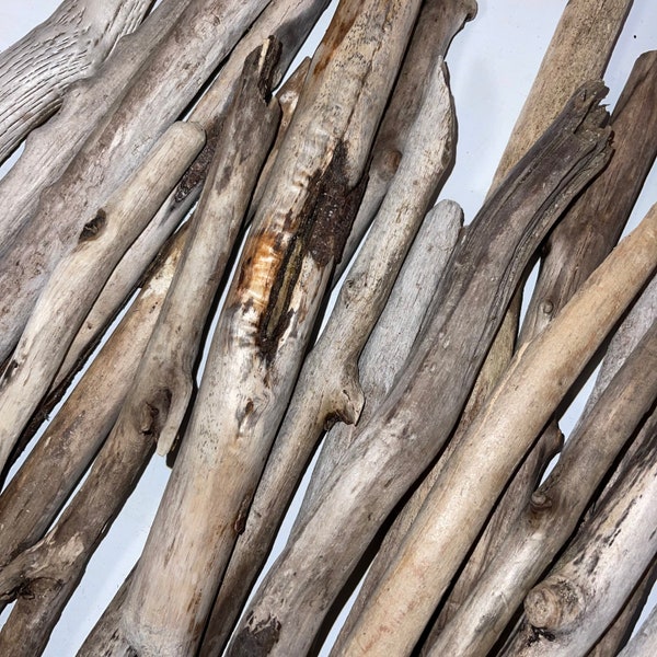 20 Count Box 12” - 16” Oregon Driftwood Sticks