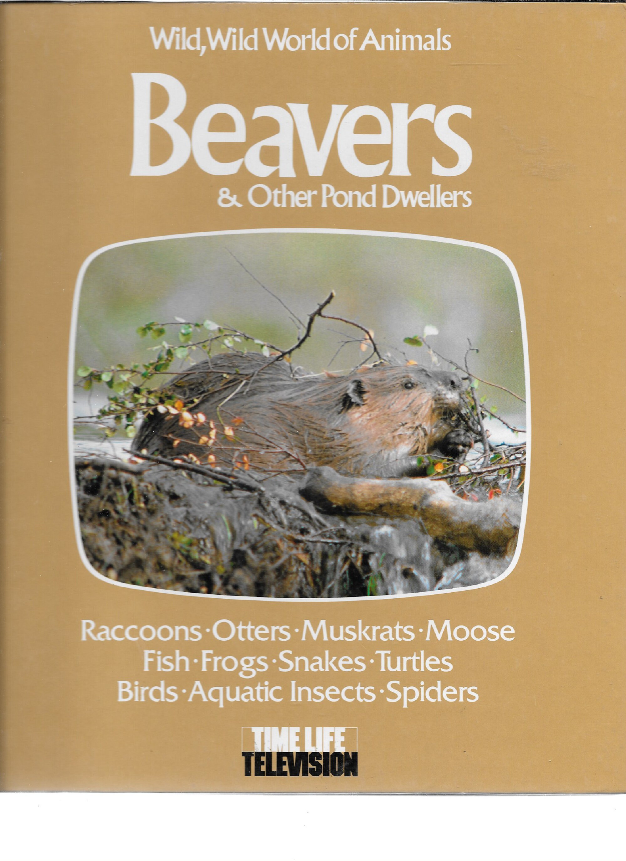 TIME LIFE: Wild, Wild World of Animals-beavers & Other Pond Dwellers - Etsy