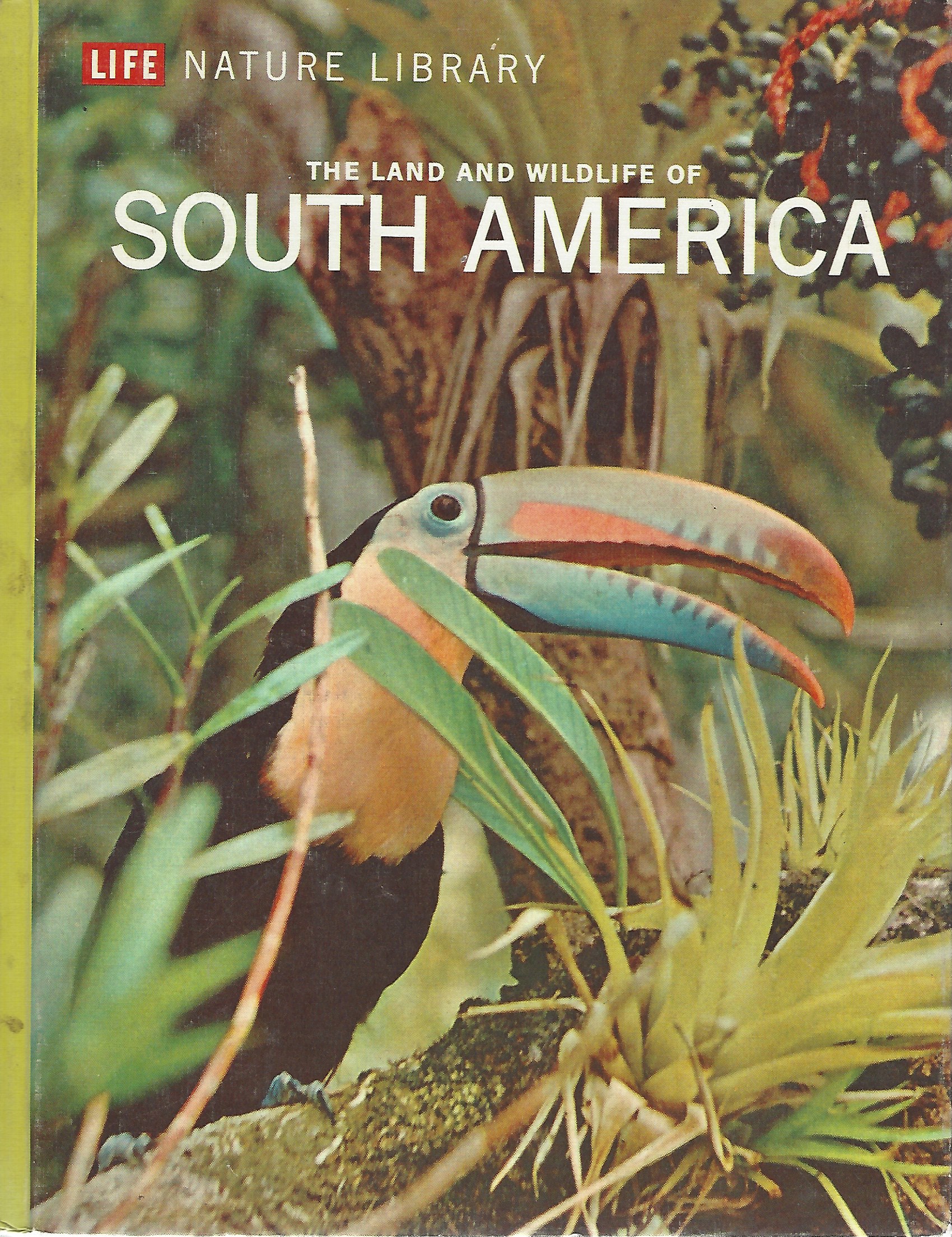 趣味・スポーツ・実用 Life Nature Library Life Nature Library - Etsy