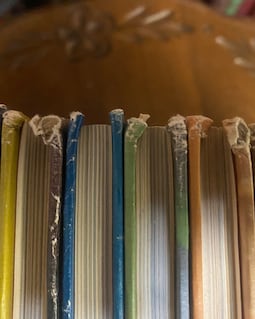 TIME-LIFE: the Nature Library 25 Volume Set - Etsy