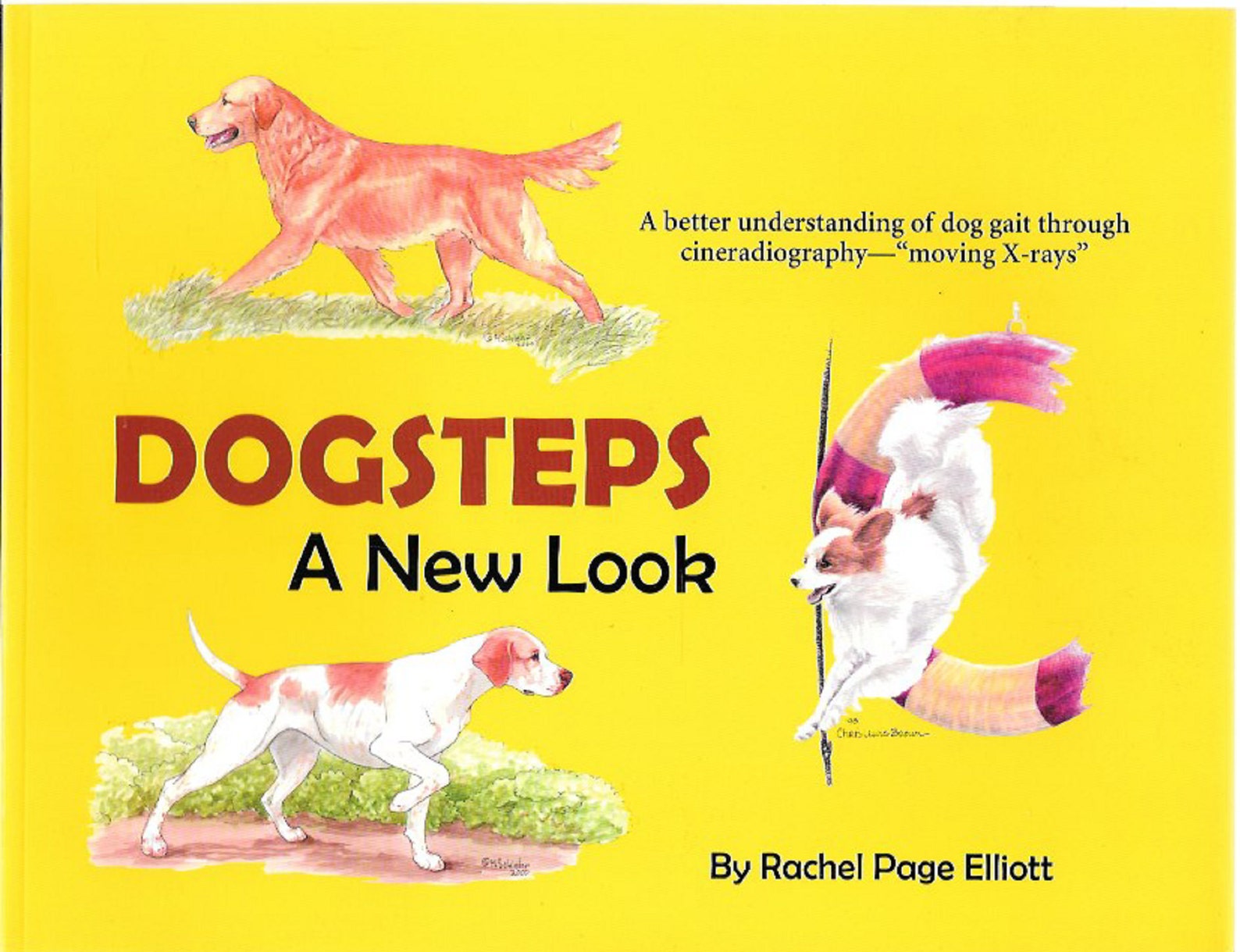 Dogstepsa New Look by Rachel Page Elliot softcover 2001 Etsy