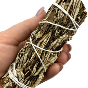 Yerba Santa Sage Smudge Stick - Burned for protection, healing, to honor ancestors, and enhance psychic abilities