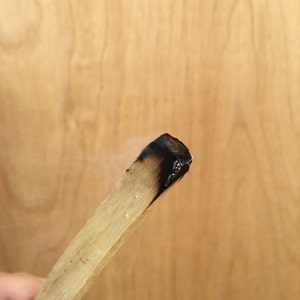 10 Palo Santo Wood Sticks Perfect for smudging, protection, & removing negativity image 5