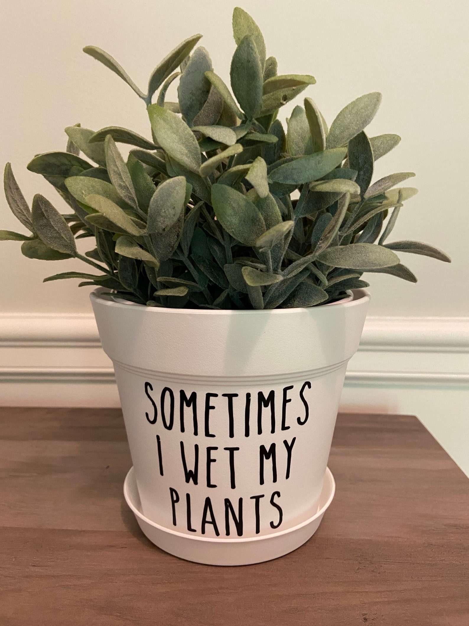 Funny Planter Pot Plant Pun Pots Punny Pots Whimsical - Etsy