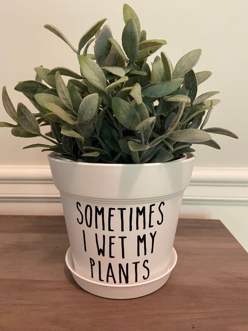 Funny Planter Pot Plant Pun Pots Punny Pots Whimsical - Etsy