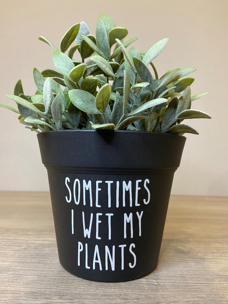 Funny Planter Pot, Plant Pun Pots, Punny Pots, Whimsical Flower Pot ...