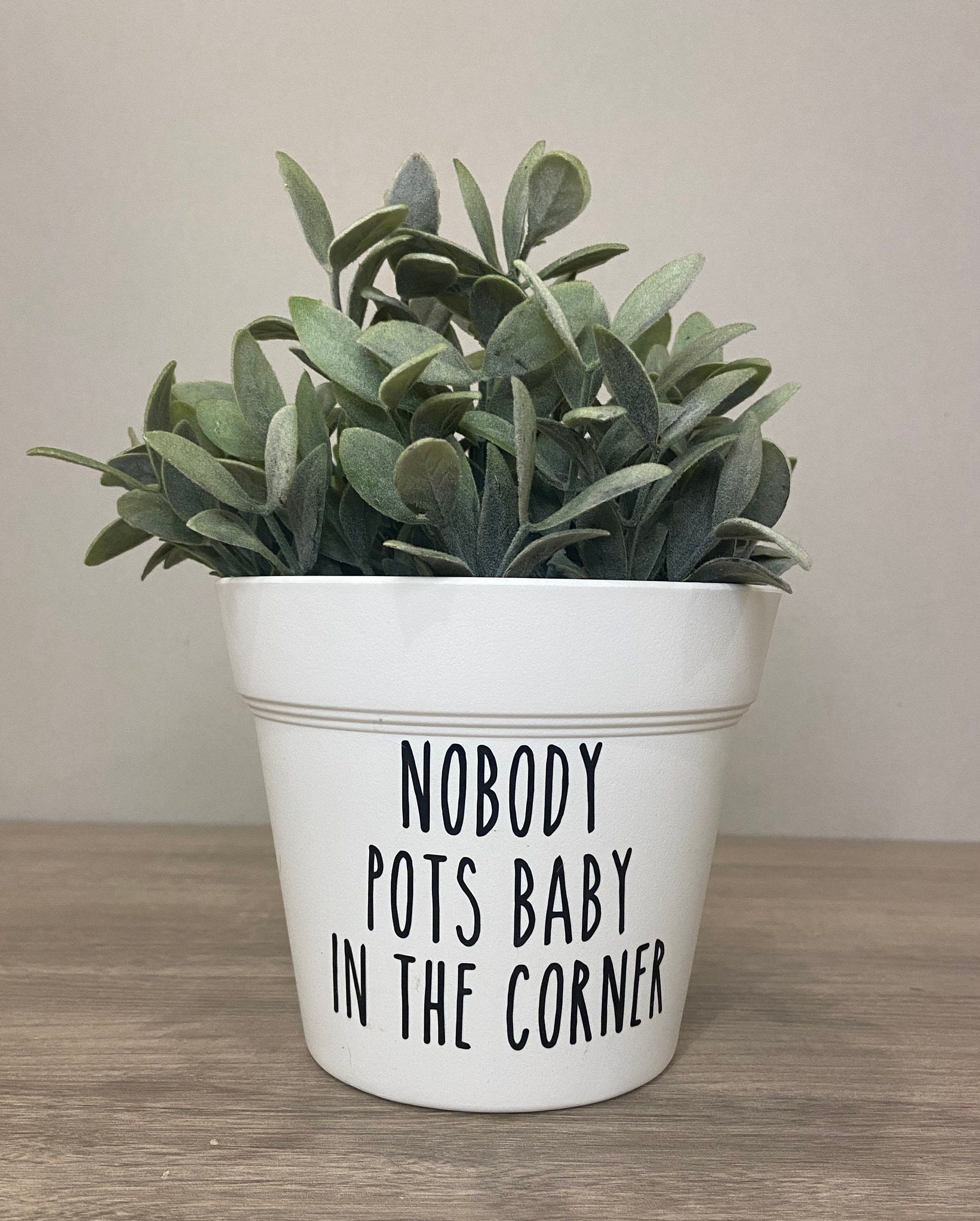 Funny Planter Pot, Plant Pun Pots, Punny Pots, Whimsical Flower Pot ...
