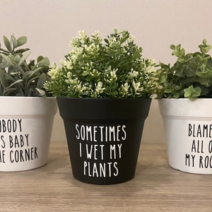 Funny Planter Pot, Plant Pun Pots, Punny Pots, Whimsical Flower Pot, Modern Farmhouse Pot, Flower Pot, Succulent Pot, Favors