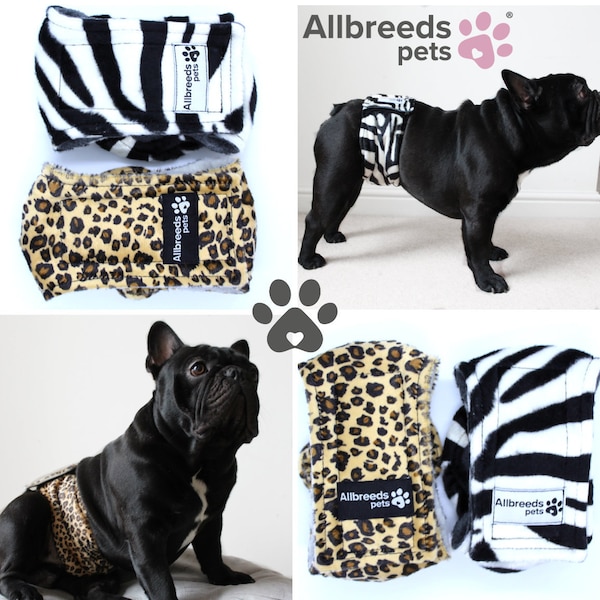 Allbreeds Hunde Bellyband, Luxus Rüden Hunde Hose Wrap. Kunstfell Fleece gefüttert, wasserdichte Innenfutter. Französische Bulldogge, Hundezucht, Inkontinenz