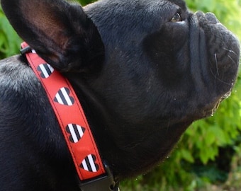 Red Heart Stripe Dog Collar & Leash Set: Designer Puppy Collar